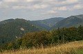 IMG_7483a